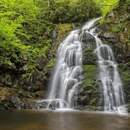 Four Bears Den, Hot Tub, 1089 Of Free Attraction Tickets For Each Paid Day, Dollywood And More ガトリンバーグ エクステリア 写真