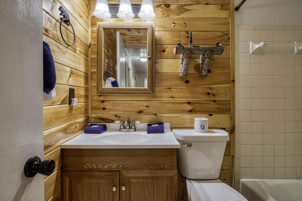 Four Bears Den, Hot Tub, 1089 Of Free Attraction Tickets For Each Paid Day, Dollywood And More ガトリンバーグ エクステリア 写真