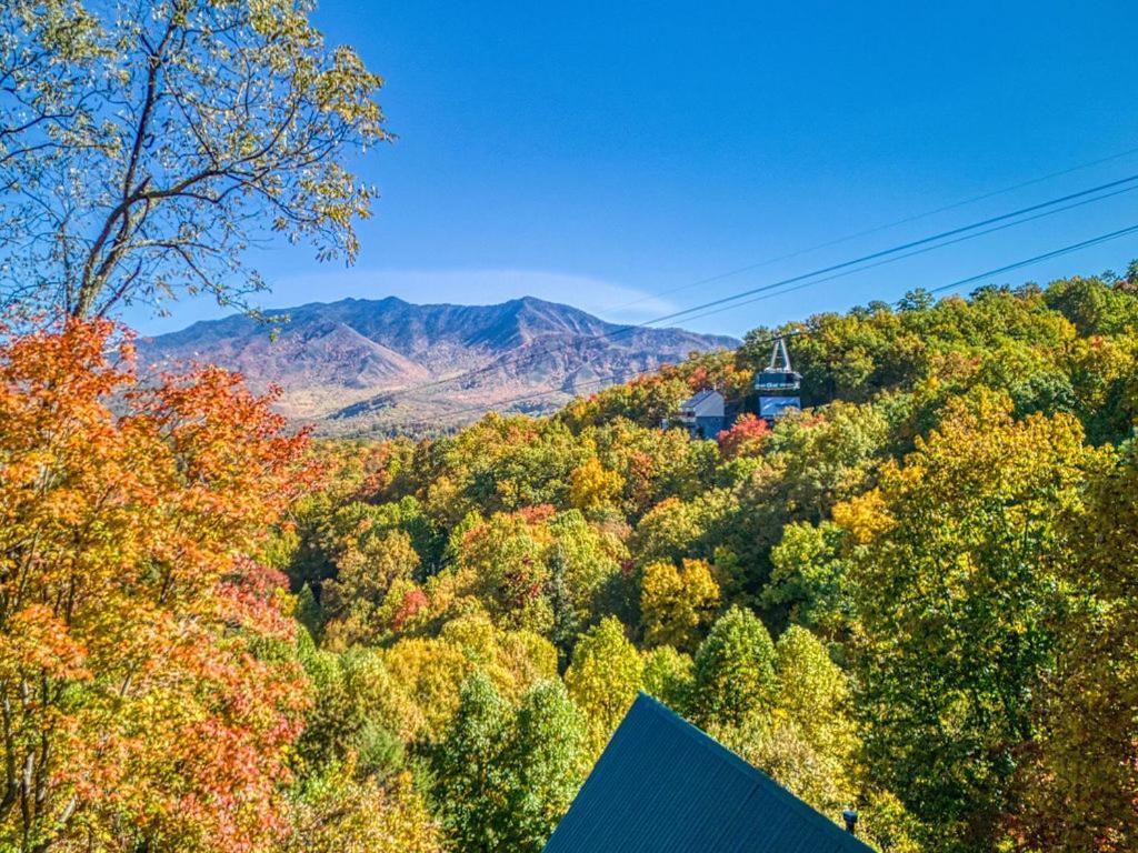 Four Bears Den, Hot Tub, 1089 Of Free Attraction Tickets For Each Paid Day, Dollywood And More ガトリンバーグ エクステリア 写真