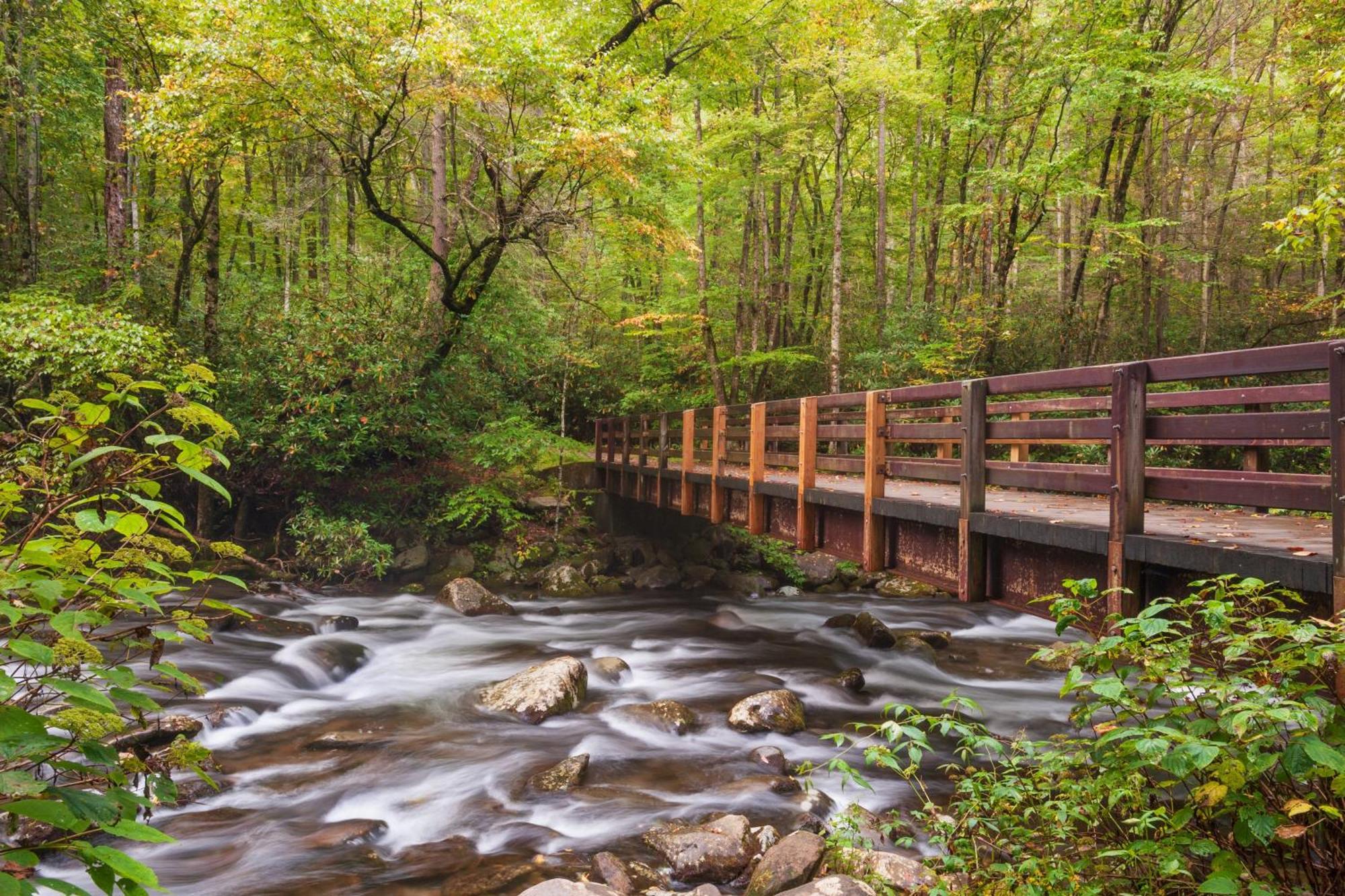 Four Bears Den, Hot Tub, 1089 Of Free Attraction Tickets For Each Paid Day, Dollywood And More ガトリンバーグ エクステリア 写真