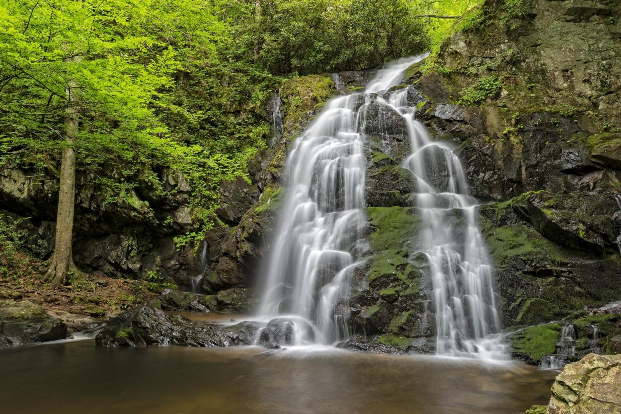 Four Bears Den, Hot Tub, 1089 Of Free Attraction Tickets For Each Paid Day, Dollywood And More ガトリンバーグ エクステリア 写真