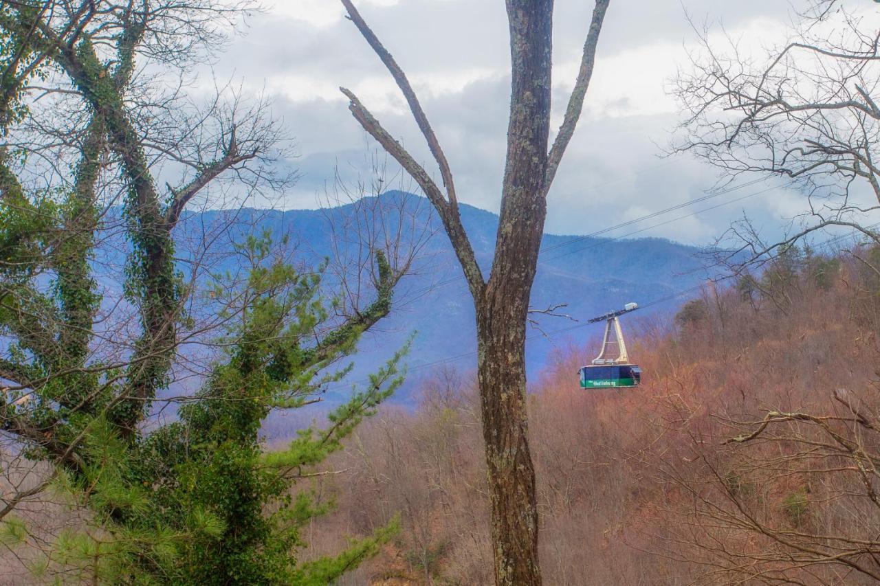 Four Bears Den, Hot Tub, 1089 Of Free Attraction Tickets For Each Paid Day, Dollywood And More ガトリンバーグ エクステリア 写真